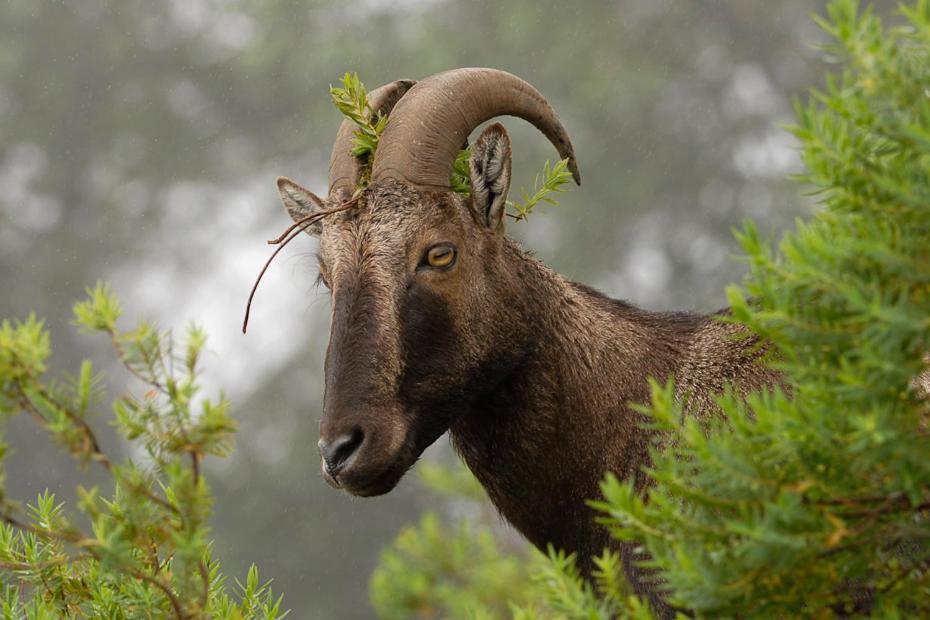 Kerala Wild Stay Kanthalloor Zewnętrze zdjęcie